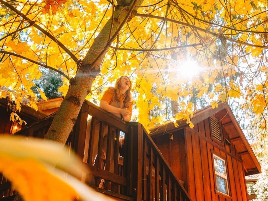 Link to Activity: Fall