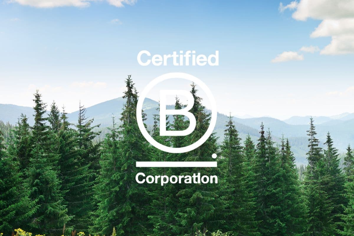 Link to Activity: Certified B Corporation