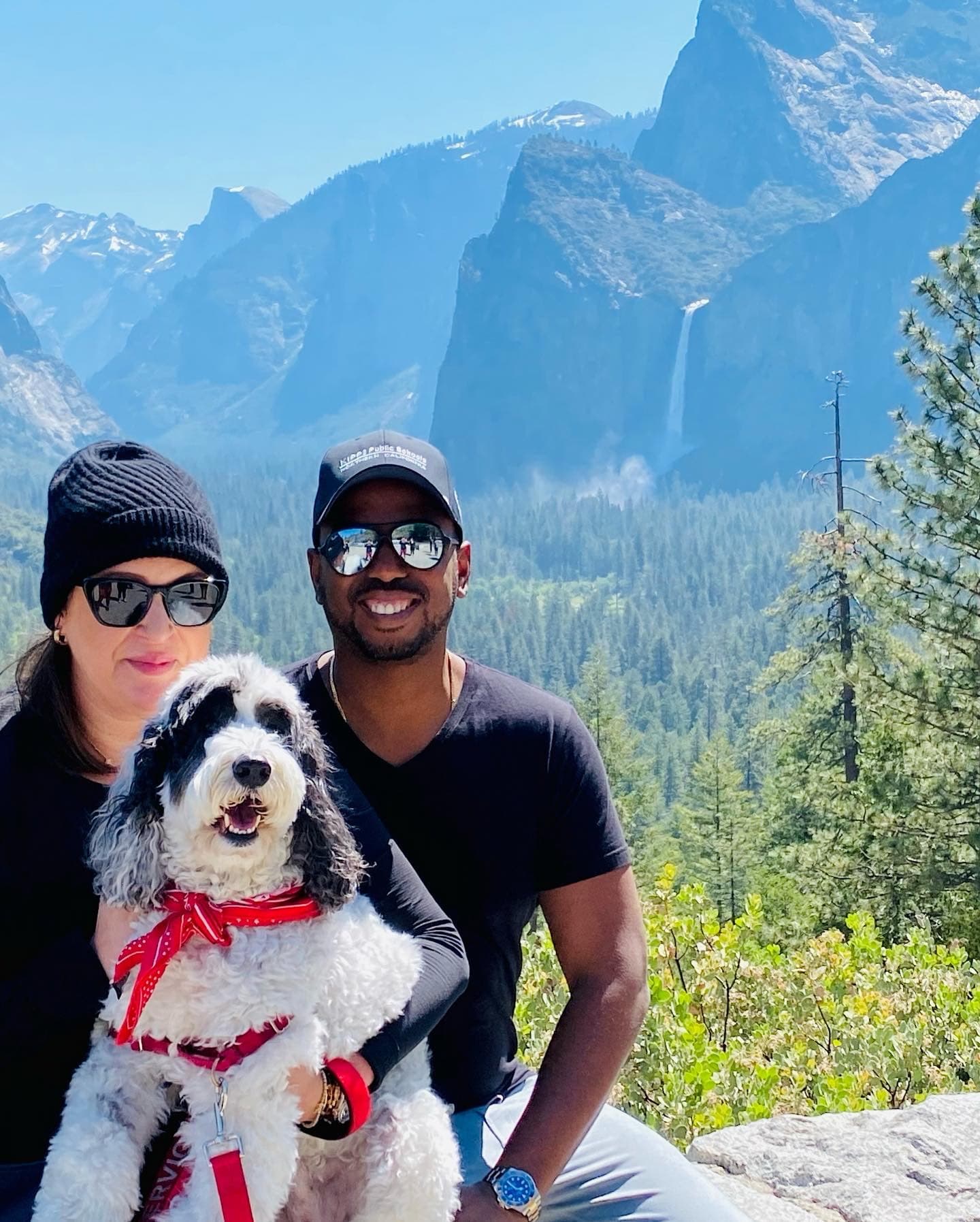 Link to Activity: Pet Friendly Areas at the Green