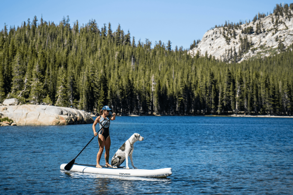 Link to Activity: Pets at Evergreen